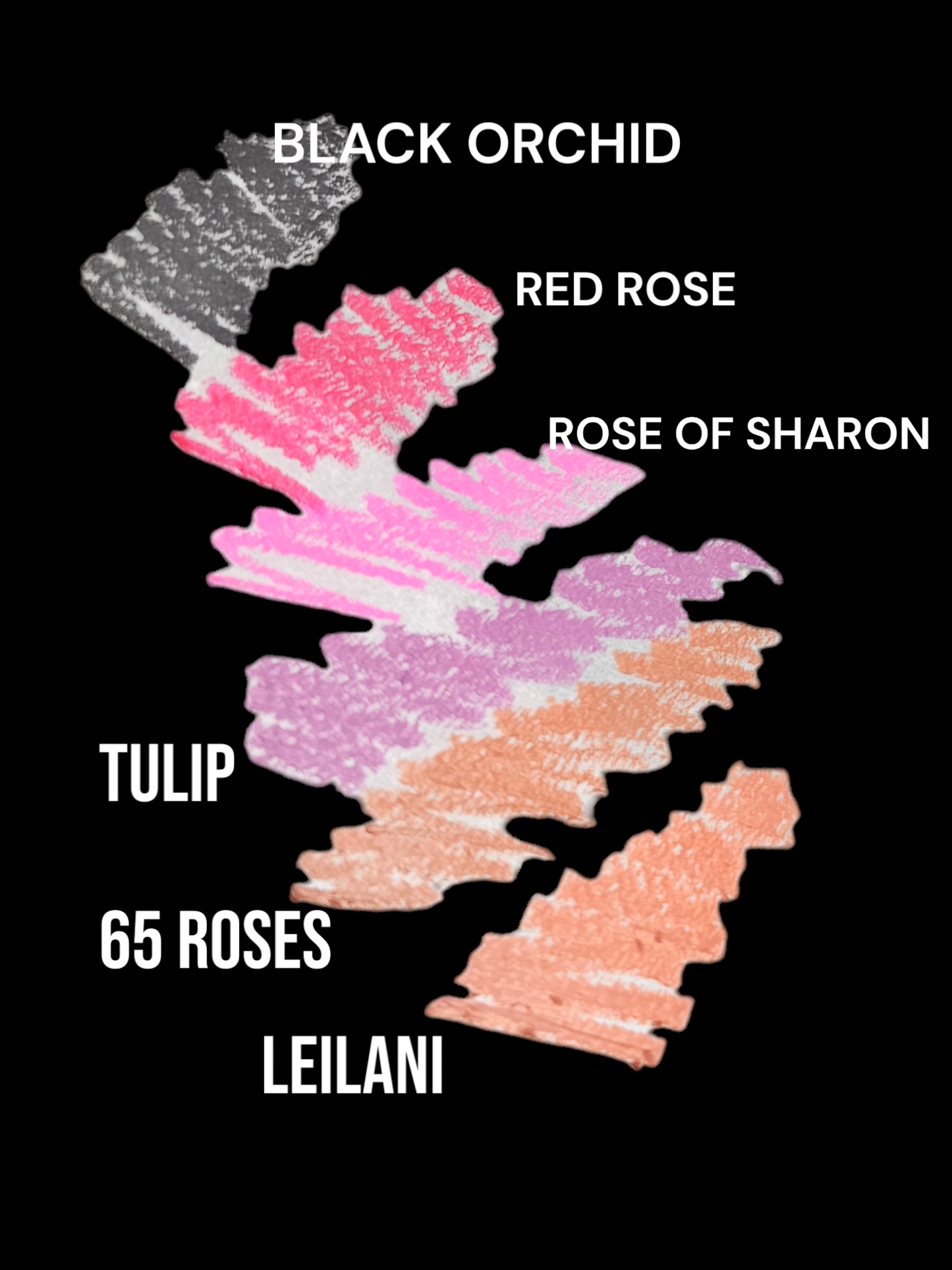 LIP LINERS - LEZETTE'S BEAUTY WORLD LLC