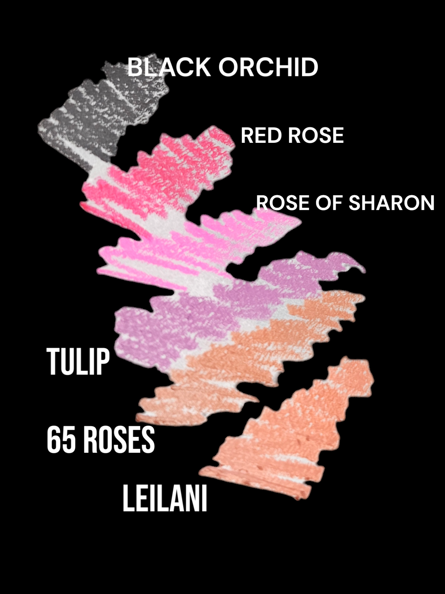 LIP LINERS - LEZETTE'S BEAUTY WORLD LLC